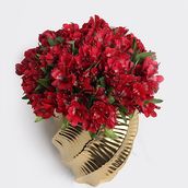 Red Alstroemeris Gold Vase