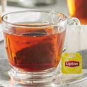 Lipton