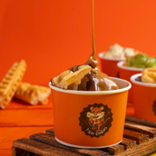 Lotus Waffle 