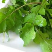 Arugula Leaves