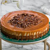 Turtle Cheesecake