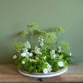 Petal Treat Tray