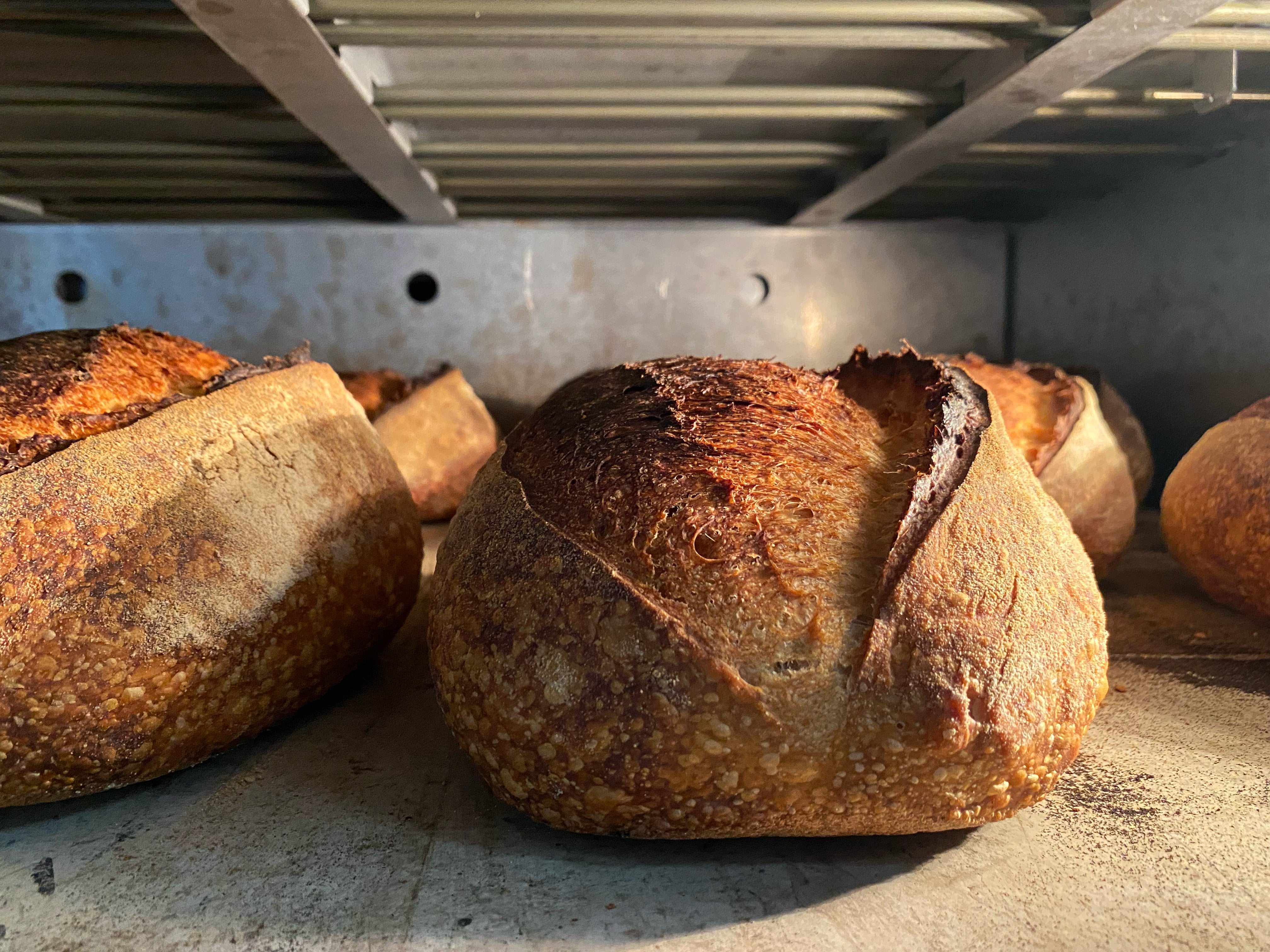 Frank Sourdough (White Country Sourdough) 900g