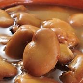 Fava Beans