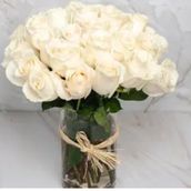 White Rose Vase
