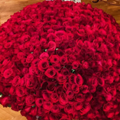 1000 Red Roses