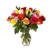 24 Stems Colorful Roses