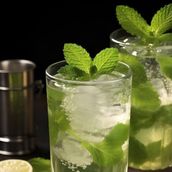LEMON MINT