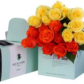 Radiant Green Box