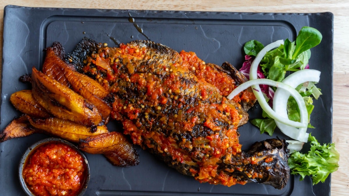 Tilapia fish