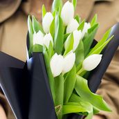 White Tulip