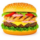 Chicken Steak Grilled Beef Burger