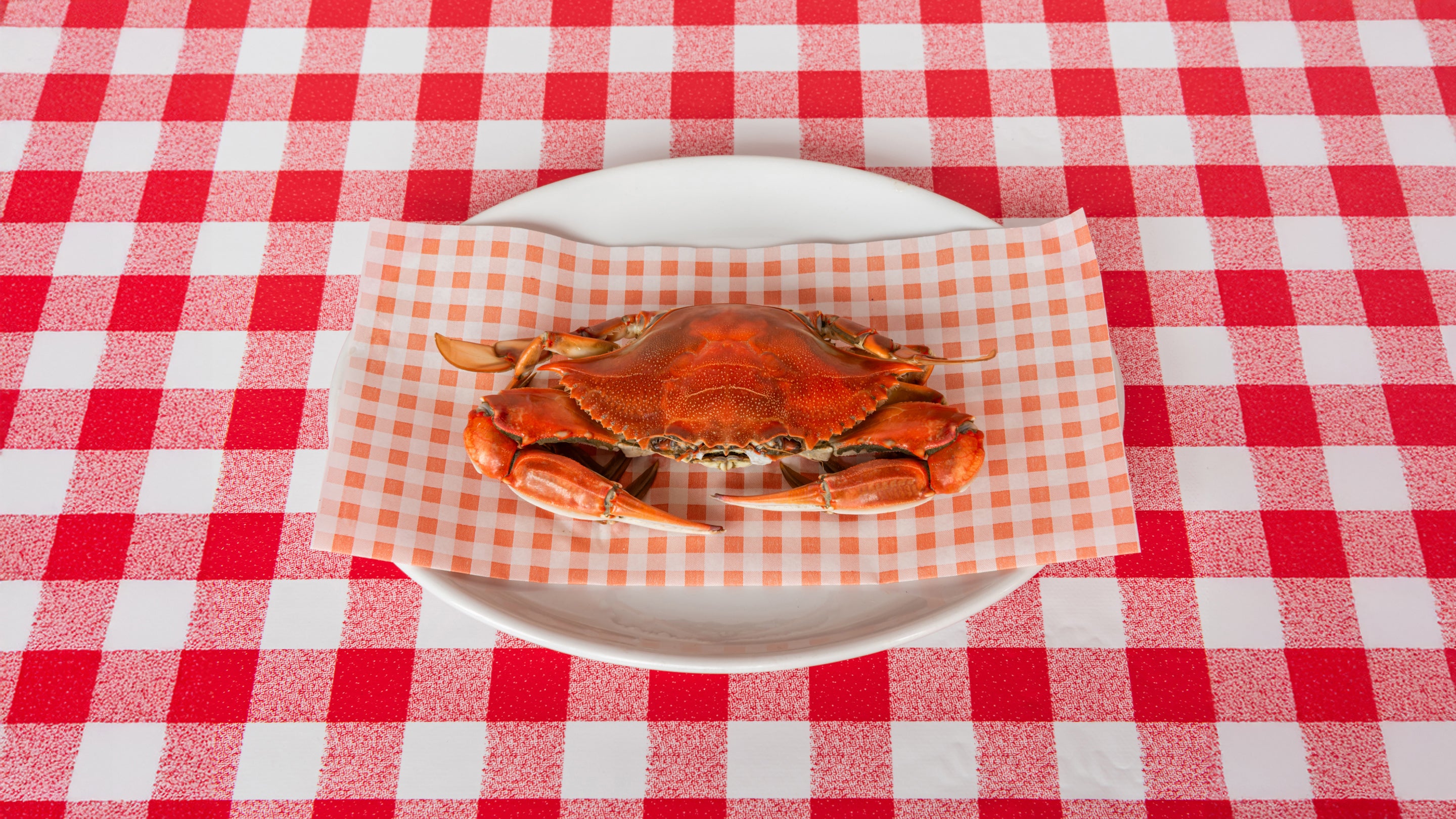 Blue Crab