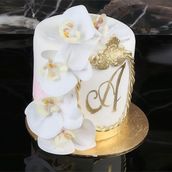 Cake Events ١
