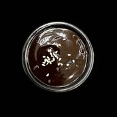 BBQ Sauce
