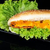 Chicken Grill Sandwich