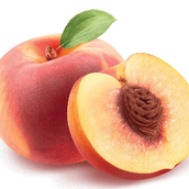 Peach Plate