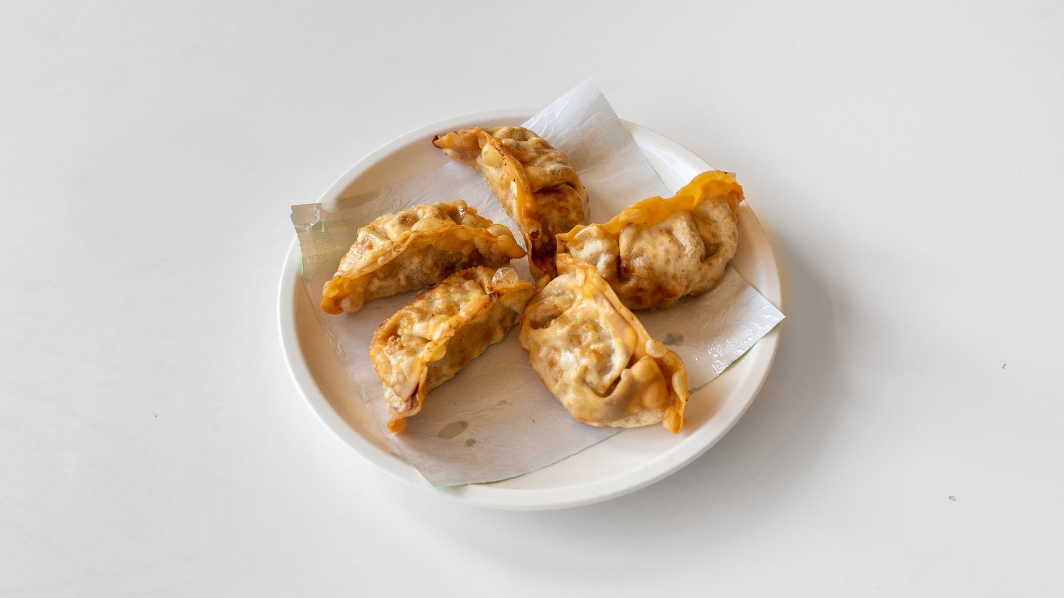 Pork Deep-Fried Dumplings 만두튀김