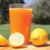 Florida Cocktail