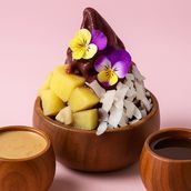  Acai Oasis Bowl Tropical