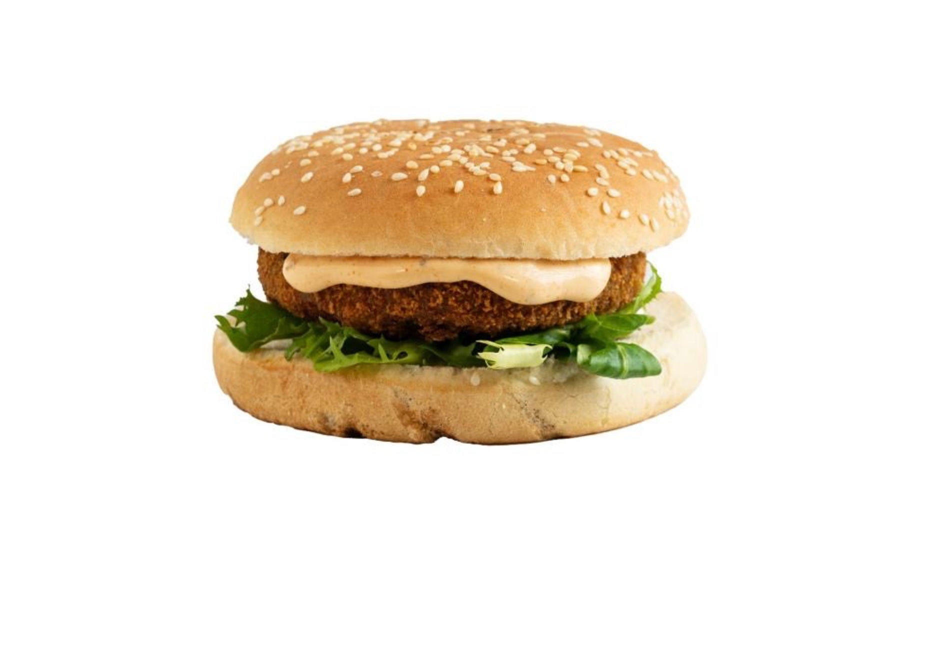 Veggie Burger, Pitta, or Wrap - On Its Own