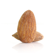 Almond American Sltd 18 20