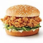 Breaded Chicken Thighs Special