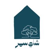 Shay Samr