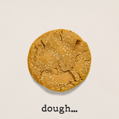 Tahini-Lotus Cookie