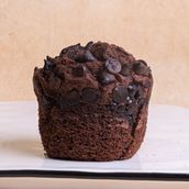 Chocolate Muffin