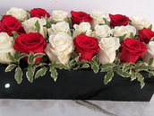 Mix Acrylic Box