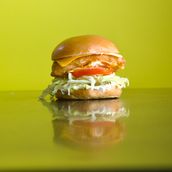 Classic Chicken Fillet