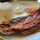 Bangsilog