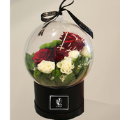 Magic Love Acrylic Dome