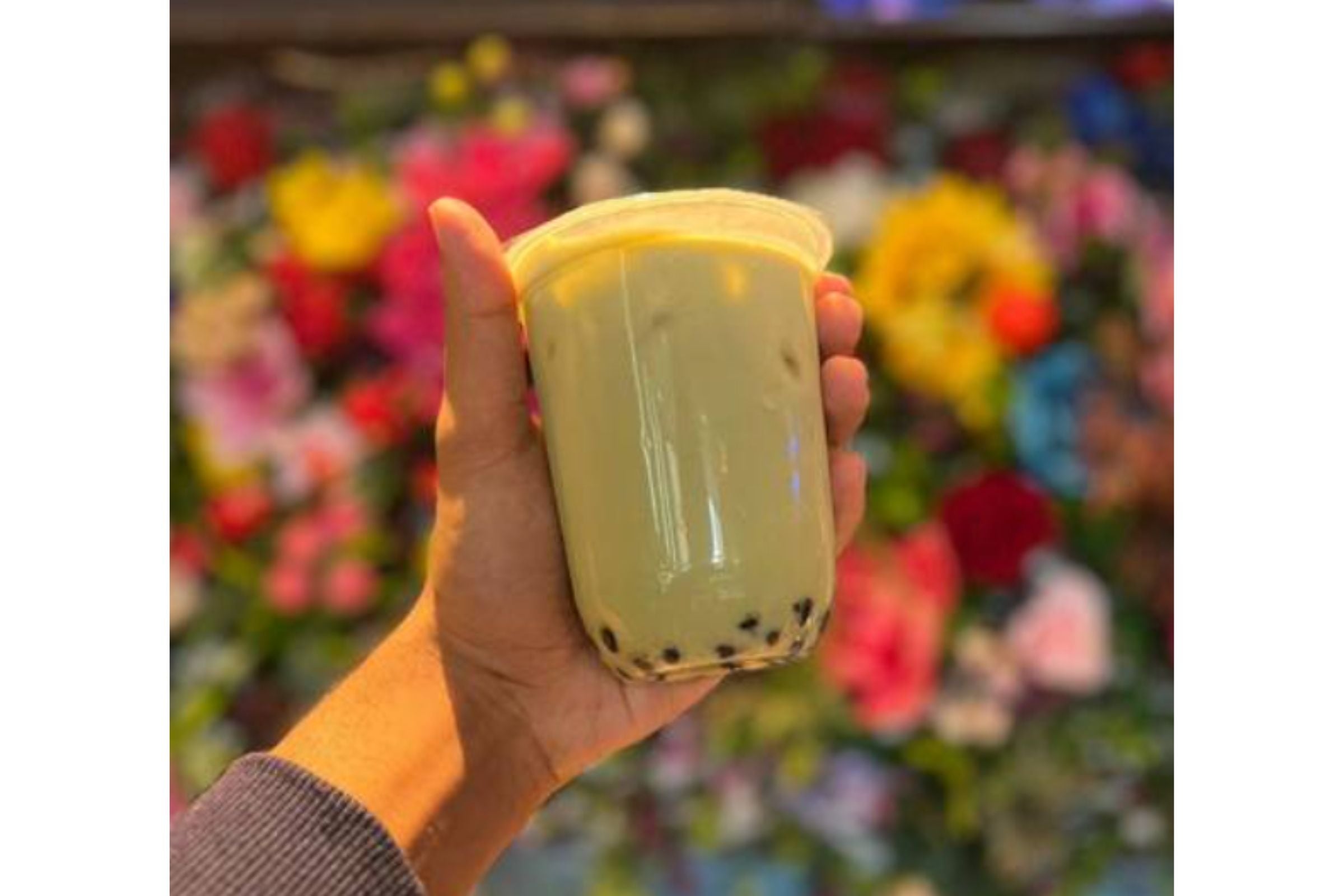 Matcha