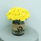 Amber X Cylinder Yellow Roses
