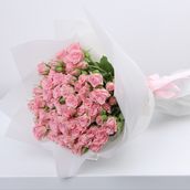 Baby Rose Pink