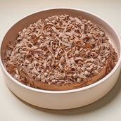 Chocolate Indulgence