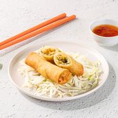 Vegetable Spring Rolls 