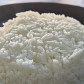 Plain Rice