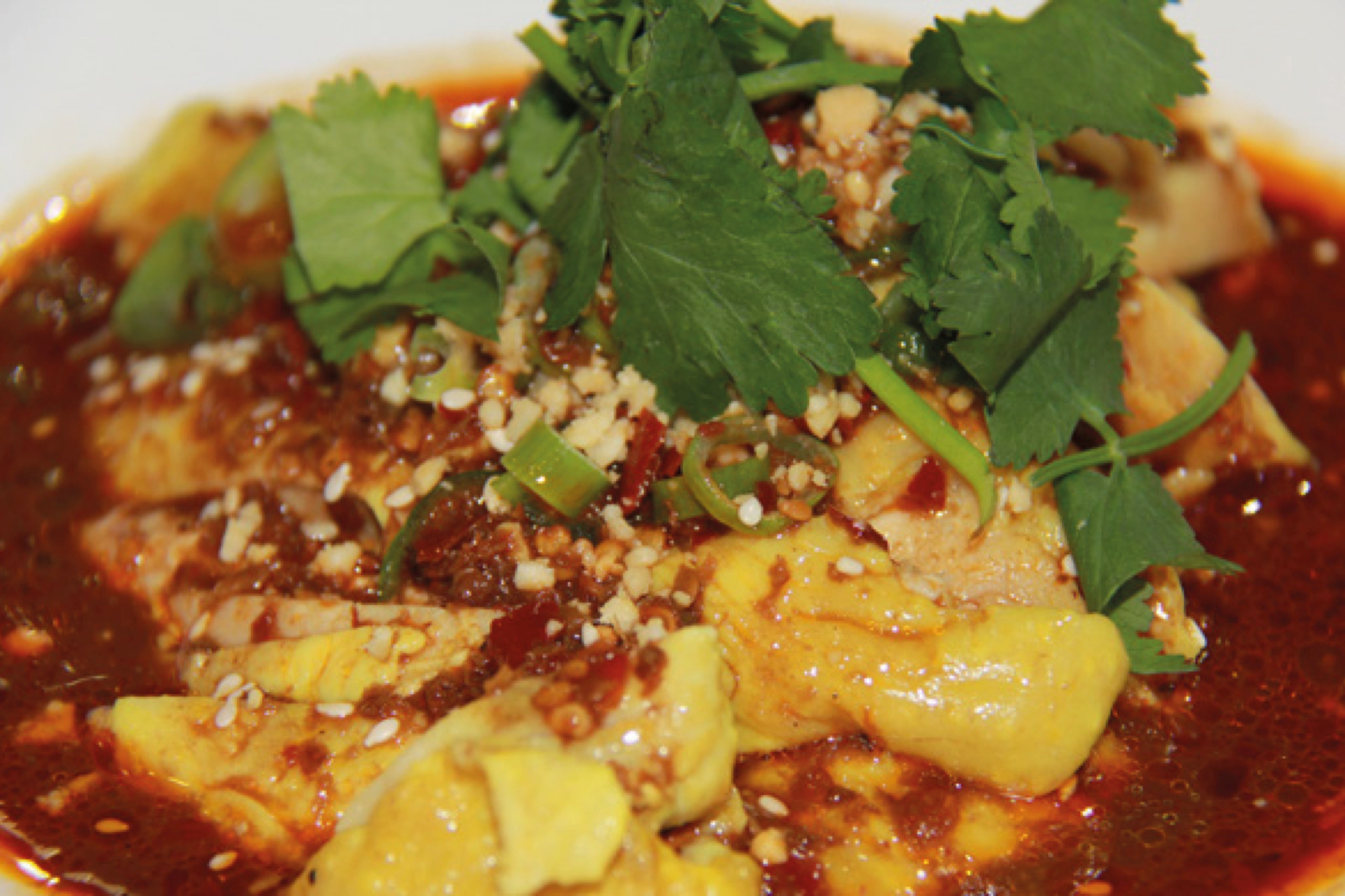 Steamed Chicken In Chilli Sauce (Served Warm)