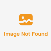 Zoi Ice Tea Tropical 320 Ml