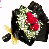 Lara