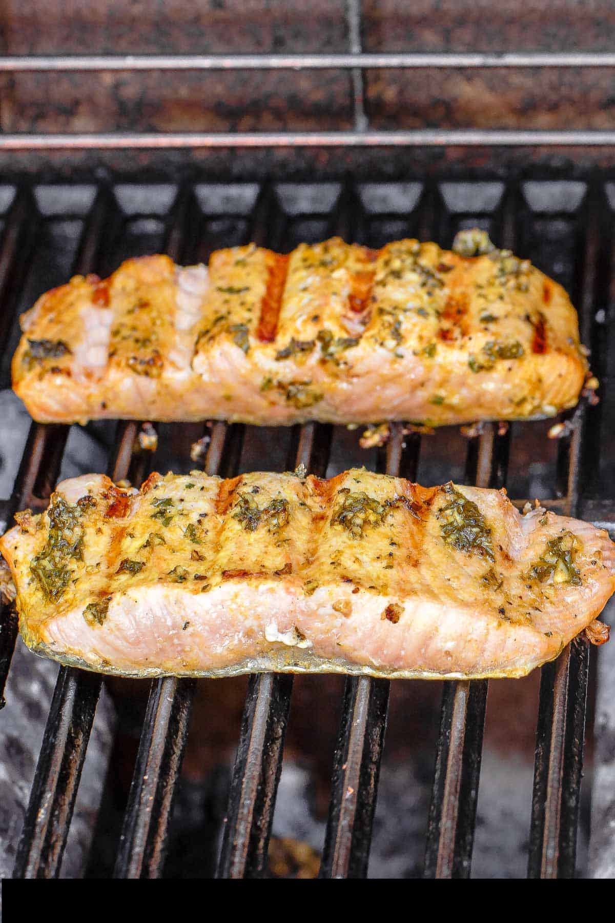 Salmon