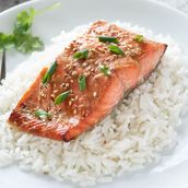 Salmon Meal
