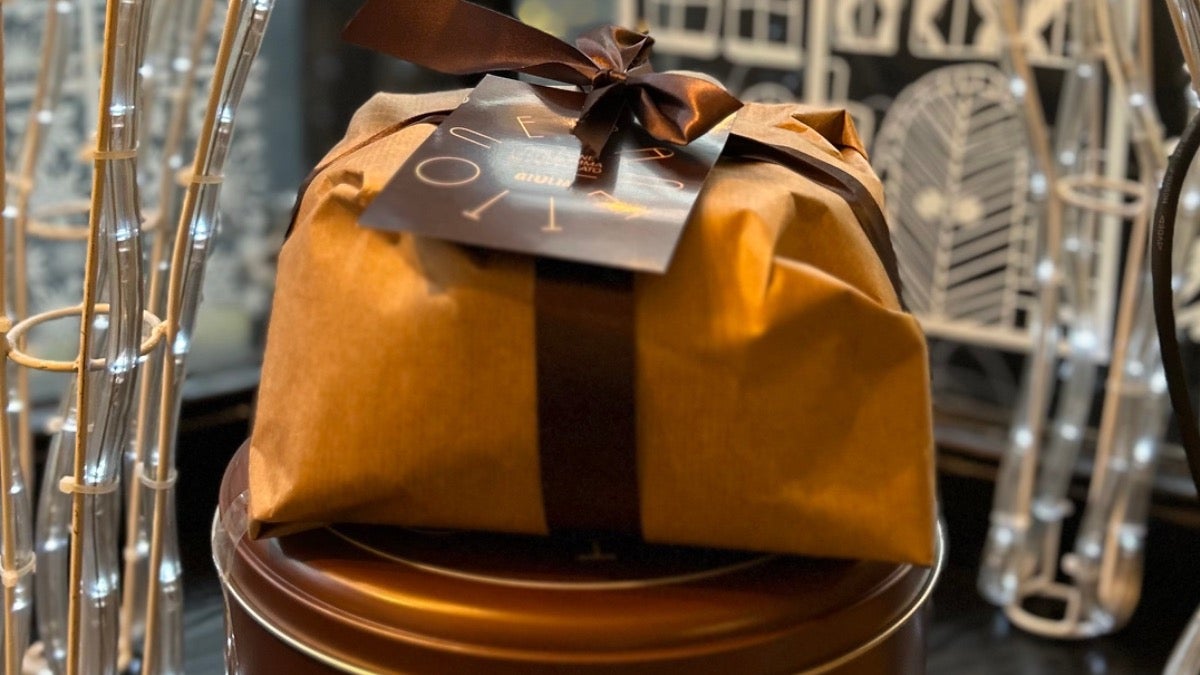 Chocolate Panettone