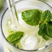 Lemon And Lime Mojito