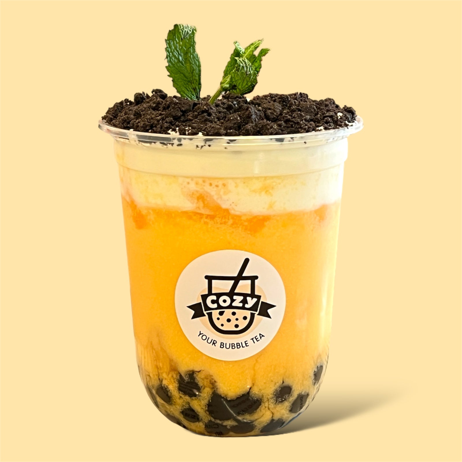 Bonsai Mango 芒果盆栽