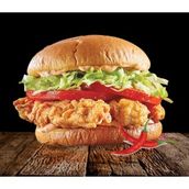 Spicy Chicken Burger