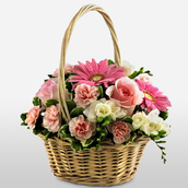 Pink Basket